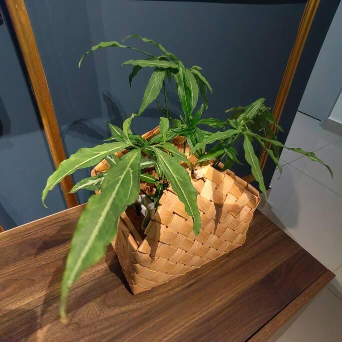 Alocasia Geniehome 3Br Free Wifi @ Utropolis Shah Alam Extérieur photo